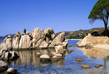 问鼎娱乐官网:曼晚评后弗格森时代曼联10佳引援:C罗伊布领衔、马塔B费等在列.